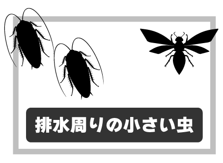 害虫・ネズミが寄る（衛生事故の温床）